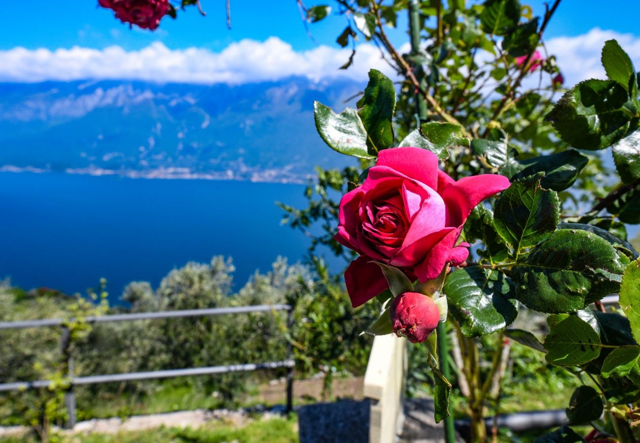 Ferienwohnung in Tignale - Albicocca: Seeblick, Natur und Relax