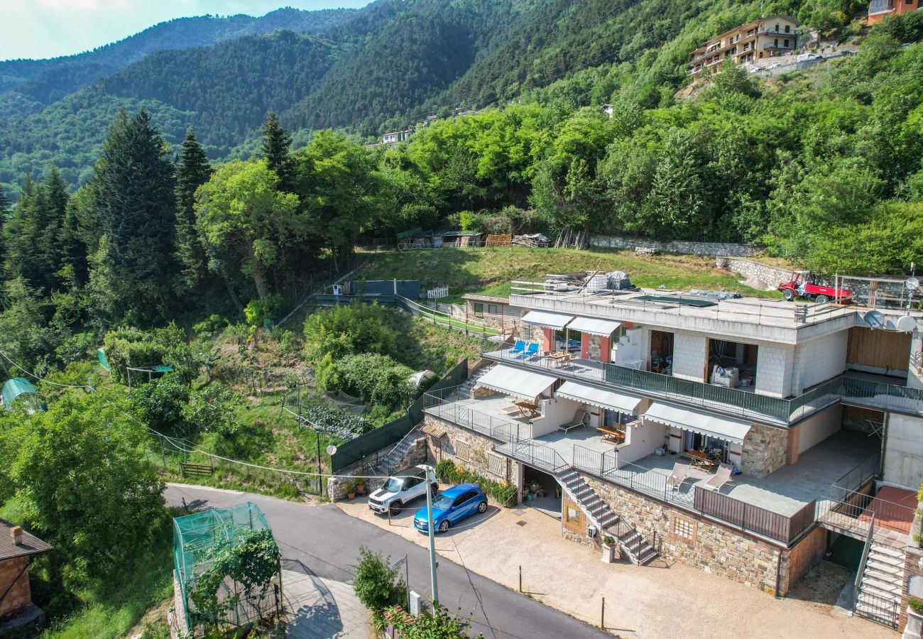 Ferienwohnung in Tignale - Conte, mit grossem Balkon und Seeblick